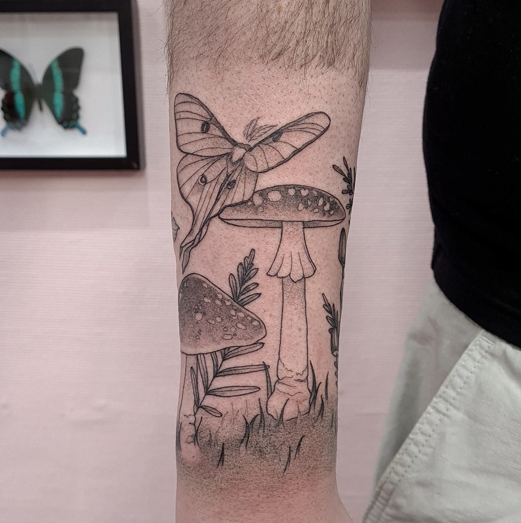 Butterfly and mushrooms tattoo