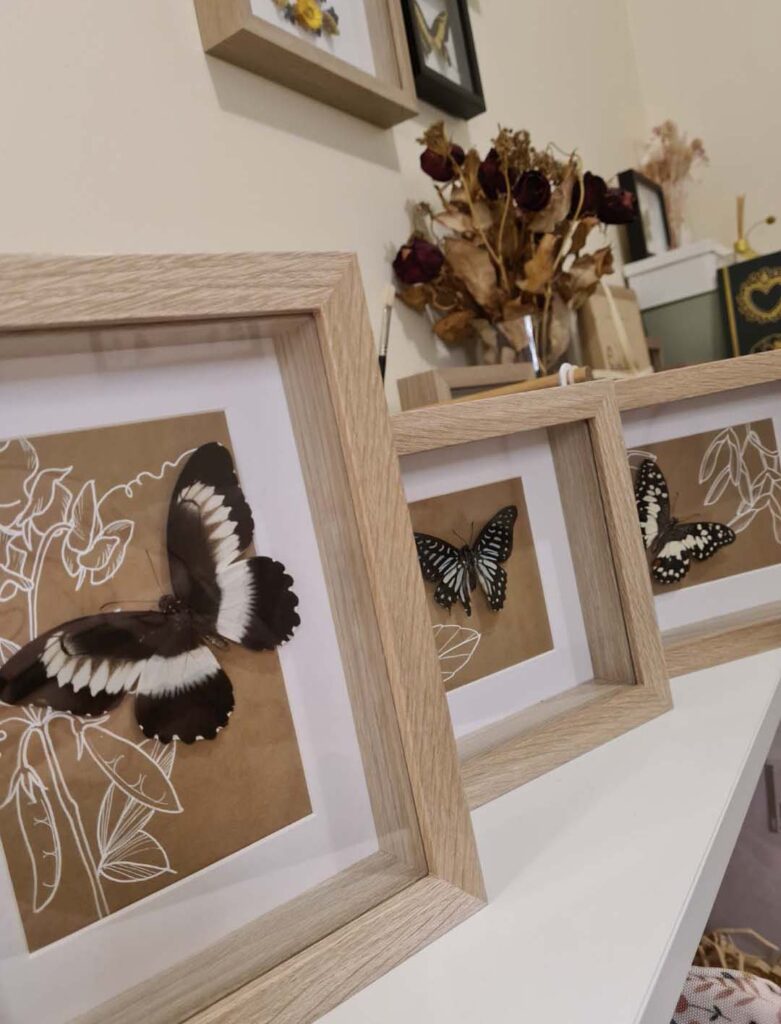 Various framed butterflies